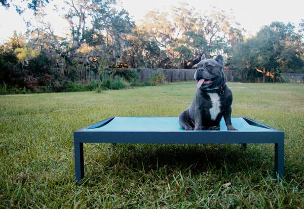 Sling Dog Bed - Skyway Terrace - Image 4